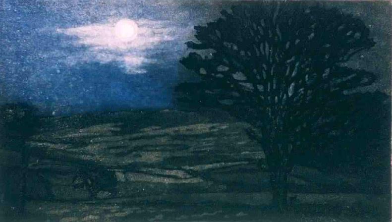 The Moonlit Vale